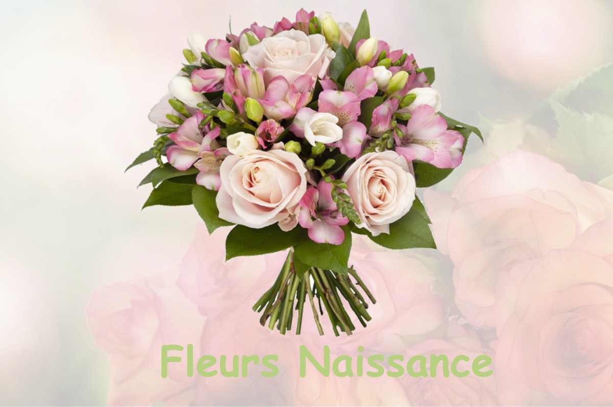 fleurs naissance LE-PLESSIS-GROHAN