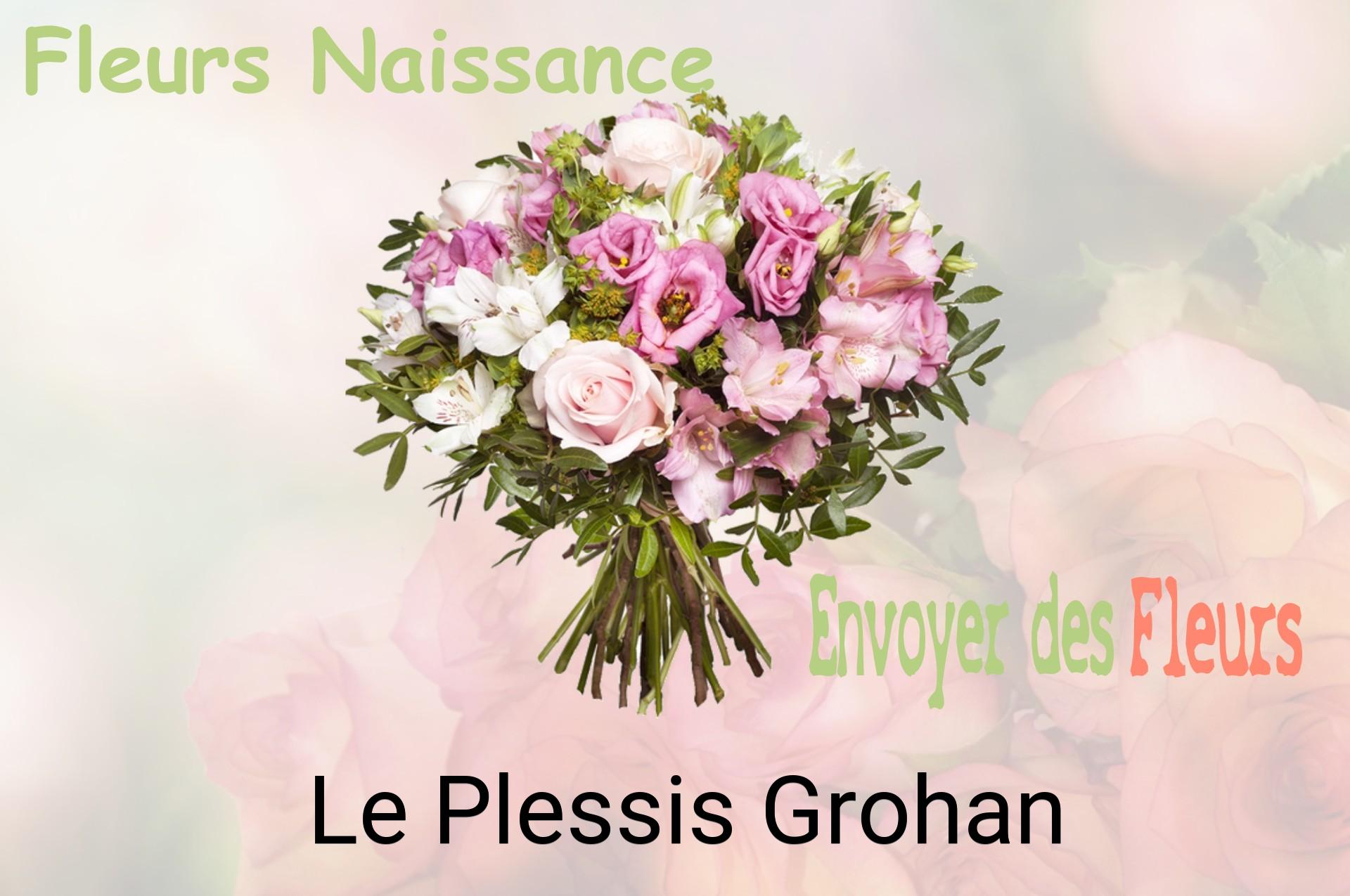 Bouquet de fleurs de naissance livré à Le Plessis-Grohan